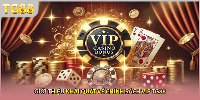 Giới thiệu khái quát về chính sách VIP TG88
