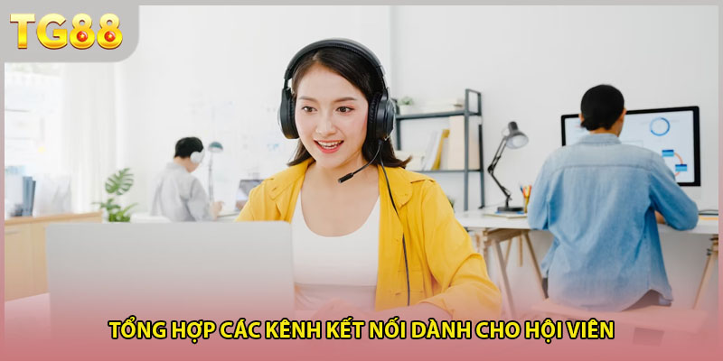 Tổng hợp các kênh kết nối dành cho hội viên